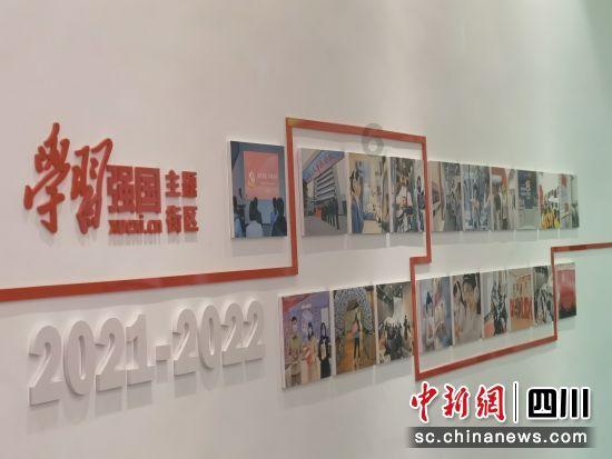 可怜猫的救援